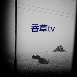 (co)tv