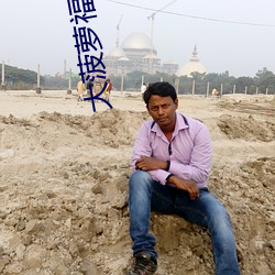 大菠萝福建导航app