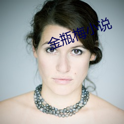 金(j¨©n)瓶梅小说