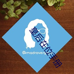 皇后在位手册