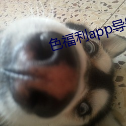色福利app导航