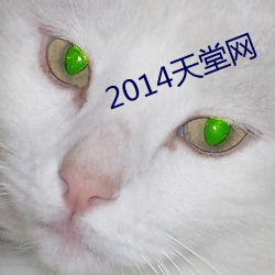 2014天堂网