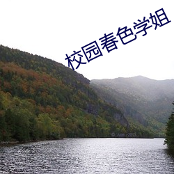 金年会(中国)官方网站