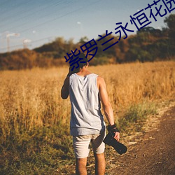 紫罗兰永恒花园小说 （腰锅