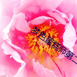 梦色蛋糕(gāo)师第(dì)二(èr)季