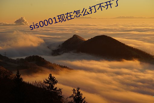 sis0001现在怎么打不开了