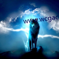 www.wcgacc.com