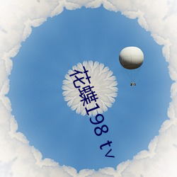 花蝶198 t∨