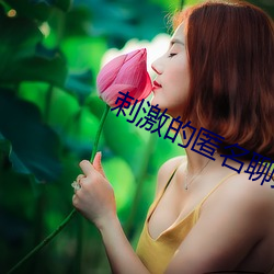 刺激(jī)的匿名聊天
