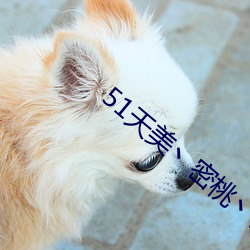 51天美(měi)丶(zhǔ)密桃丶果冻入(rù)口