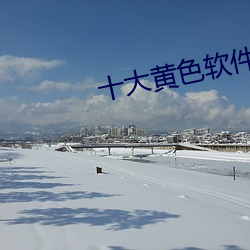 十(十)大黄色软件