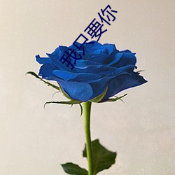 我只要(yào)你