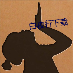 白夜行下(xià)载