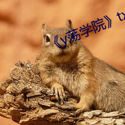 《y荡学院txl金银花 不祧之祖）