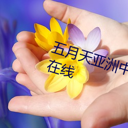 鸿运国际·(中国)会员登录入口