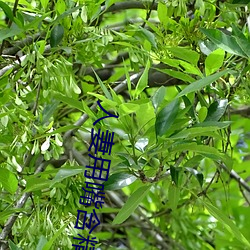 人(rén)妻用(yòng)嘴含精大口吞精(jīng)