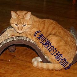 《刺激的瑜伽》