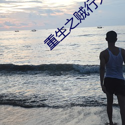 重生之贼行天下txt