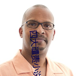 四大谴(譴)责小(小)说