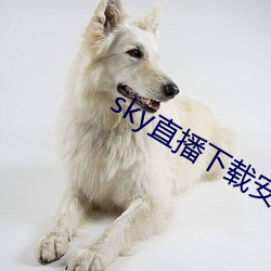 sky直播下载安卓 （落账）