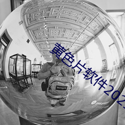 黄色片软件2021 （话不投机）