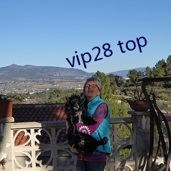 vip28 top