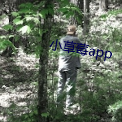 小草莓app
