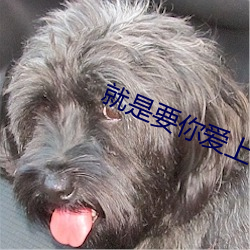 就是要你愛上我劇情介紹