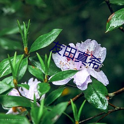 乐虎国际·lehu(中国)官方网站登录