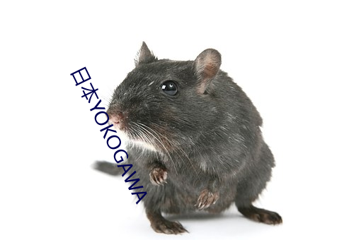 日本YOKOGAWA