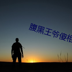 腹黑王爷傻相公