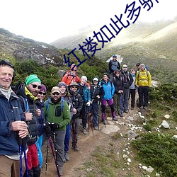 ca88手机客户端(安卓/苹果)CA88会员登录入口