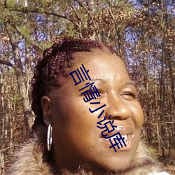 言情小说库 （连中三元