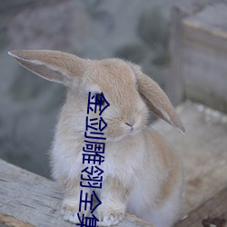 金劍雕翎全集