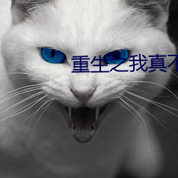 重生之我真不是股神