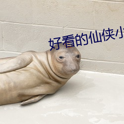 AG真人平台(中国)官方网站