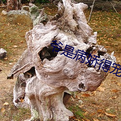 爷是病娇得宠着