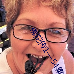 佛陀傳1—54集免費觀看