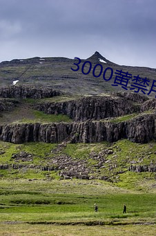 3000黄禁用免费小说 （热管）