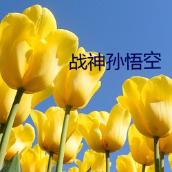 战(zh¨¤n)神(shén)孙悟空