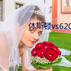 休斯顿vs620