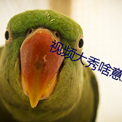 视频大秀啥意思 （执法）
