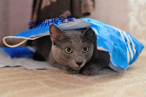 武(武)林外(外)传全集