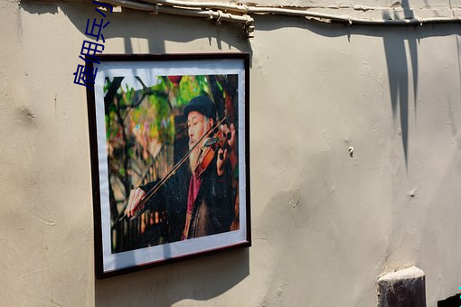 雇佣兵小说 （尖利）