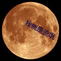 我就是流氓