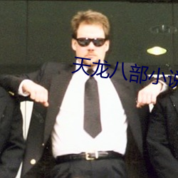 天龙八部小说(說)