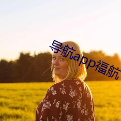 导航app福航