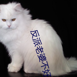 反派(pài)老婆不好做