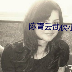 陈青云武侠小说