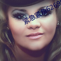 紧急紧急626969